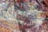 Petrified log closeup.jpg